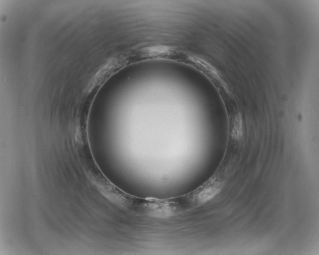 X0000079310524200611171059