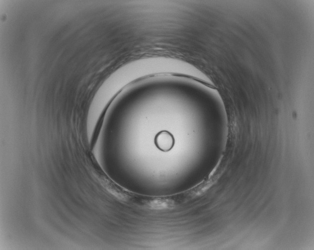 X0000079310566200611171058