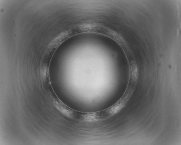 X0000079310574200611171058