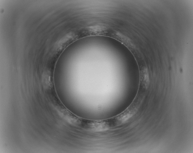 X0000079310615200611171057