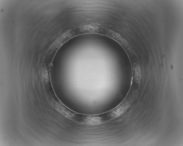 X0000079310617200611171057