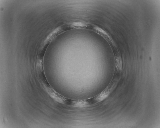 X0000079310621200611171057