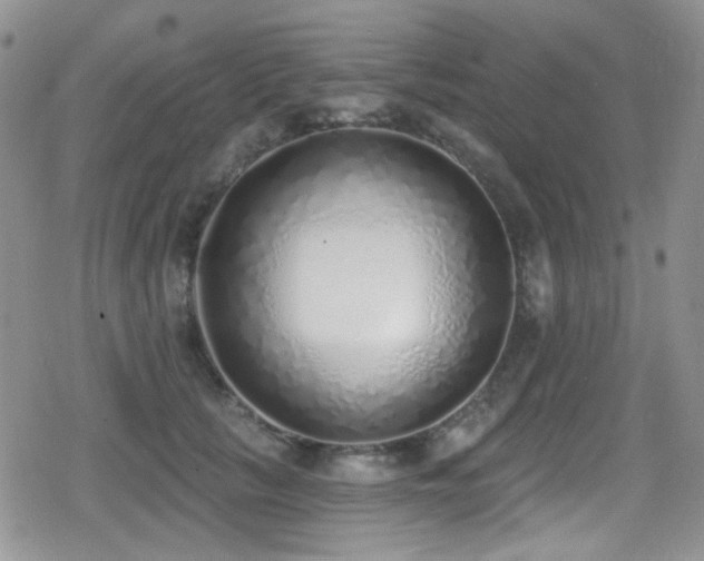 X0000079310657200611171057