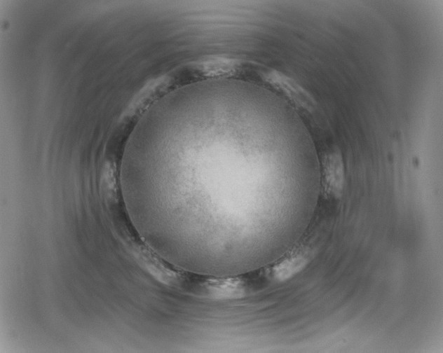 X0000079310667200611171057