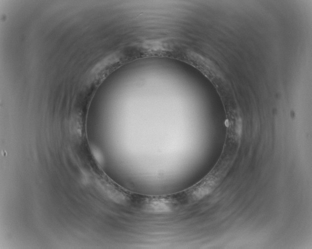X0000079310710200611171056
