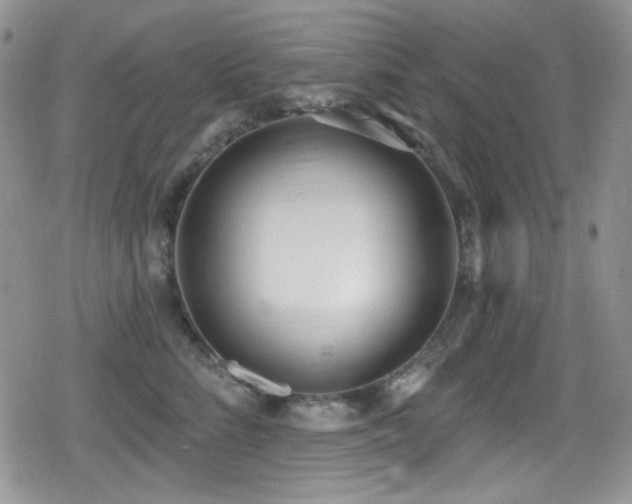 X0000079310712200611171056