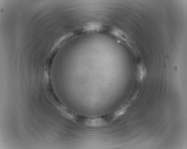 X0000079310716200611171055