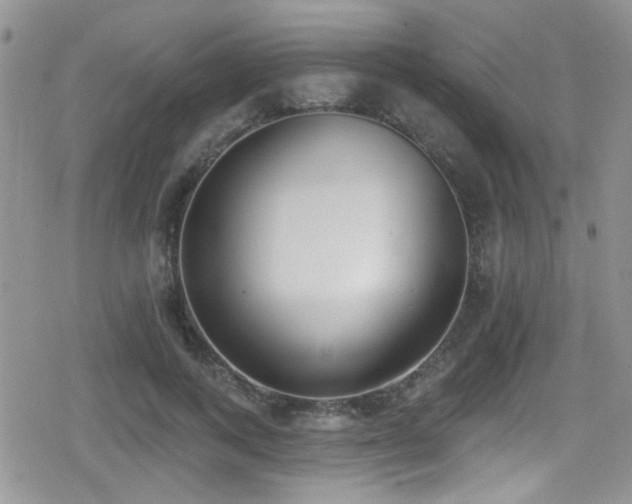 X0000079310743200611171055