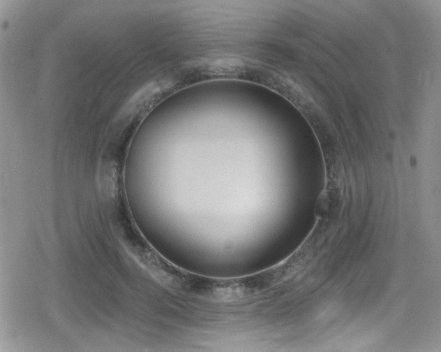 X0000079310744200611171055