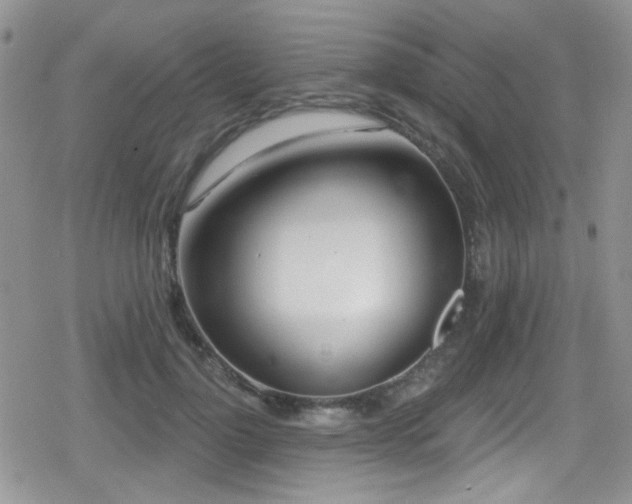 X0000079310748200611171055