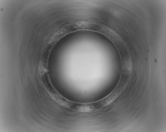 X0000079310751200611171055