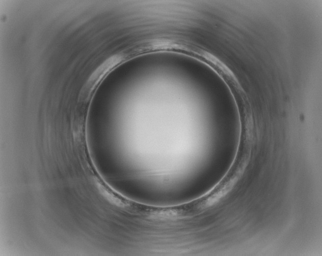 X0000079310801200611171054