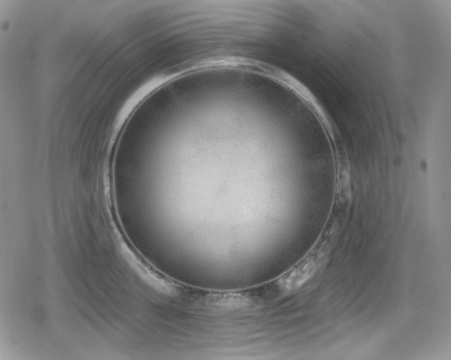 X0000079310811200611171054