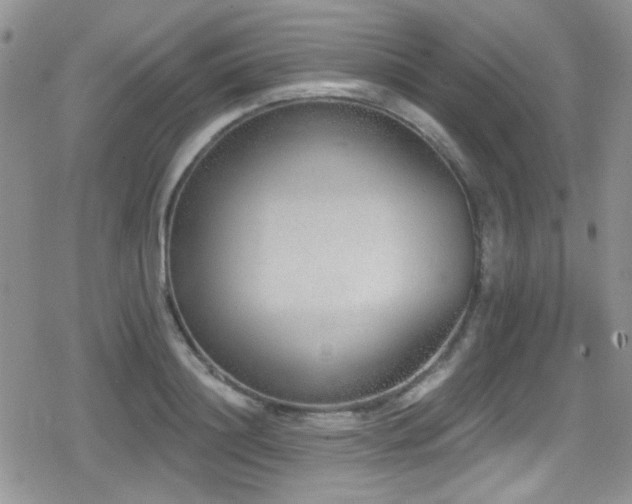 X0000079310844200611171054