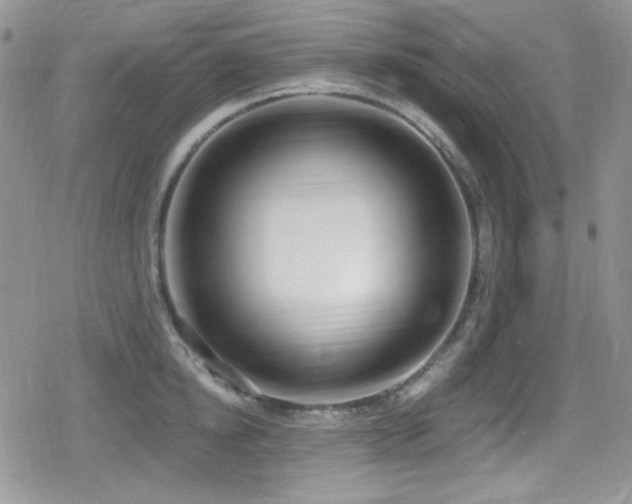 X0000079310854200611171054