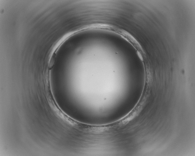 X0000079310860200611171054