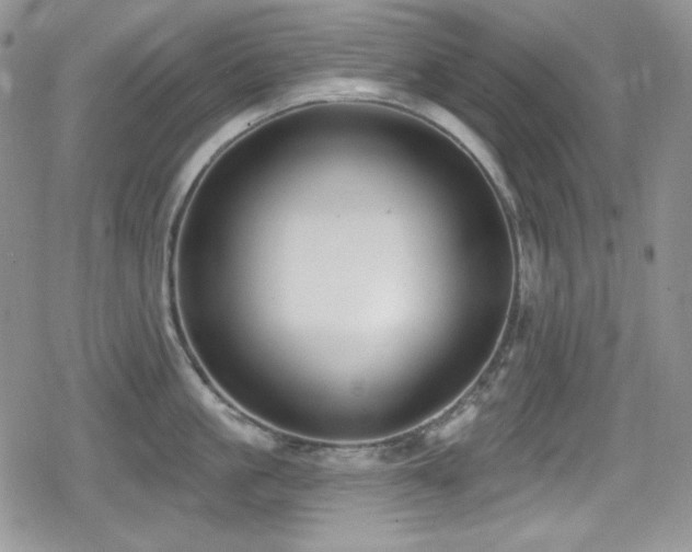 X0000079310861200611171054