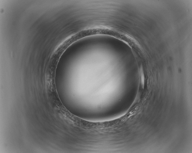 X0000079310872200611171053
