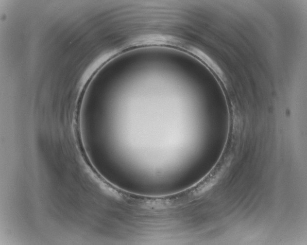 X0000079310901200611171052