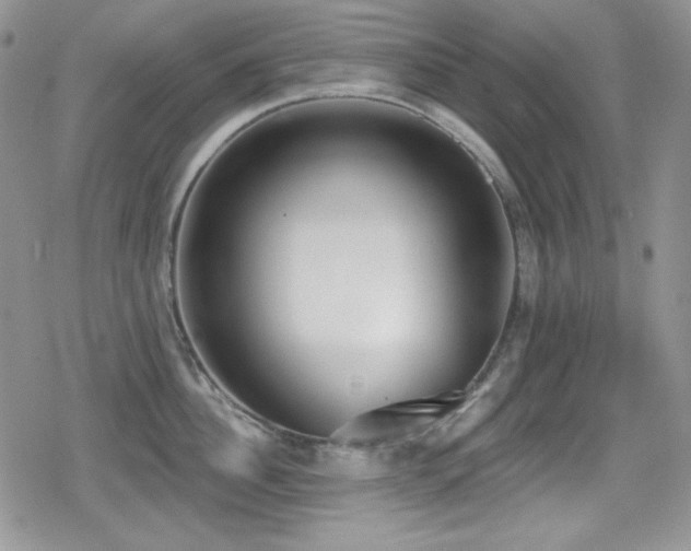 X0000079310956200611171052