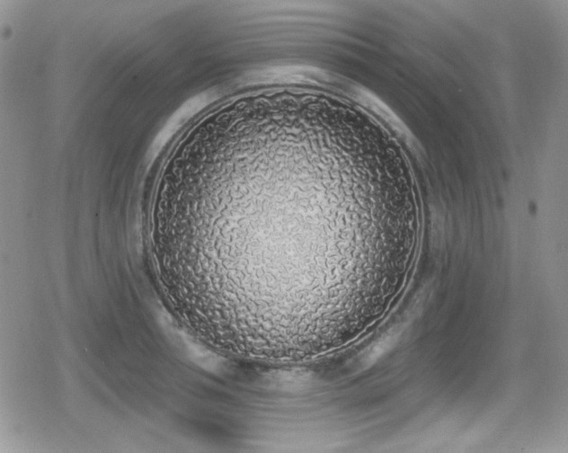 X0000079310994200611171051