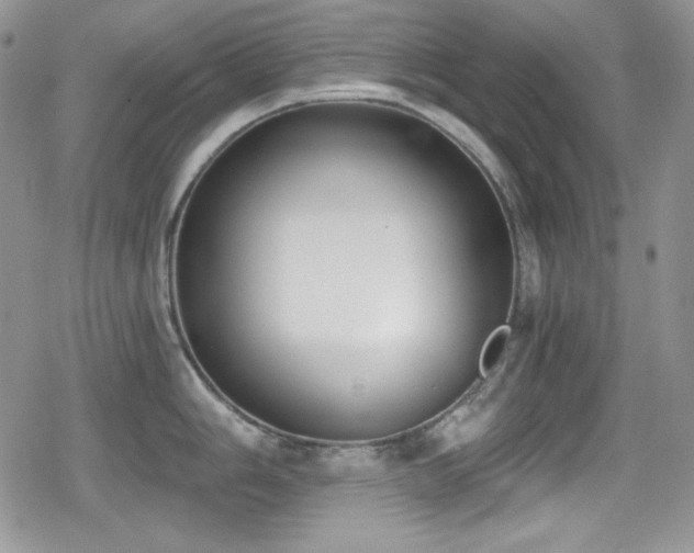 X0000079311006200611171051