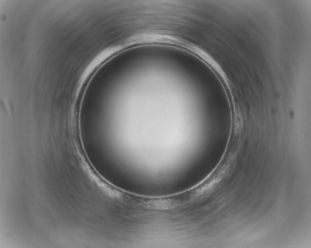 X0000079311053200611171051