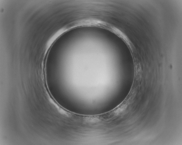 X0000079311103200611171049
