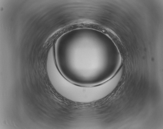 X0000079311112200611171049
