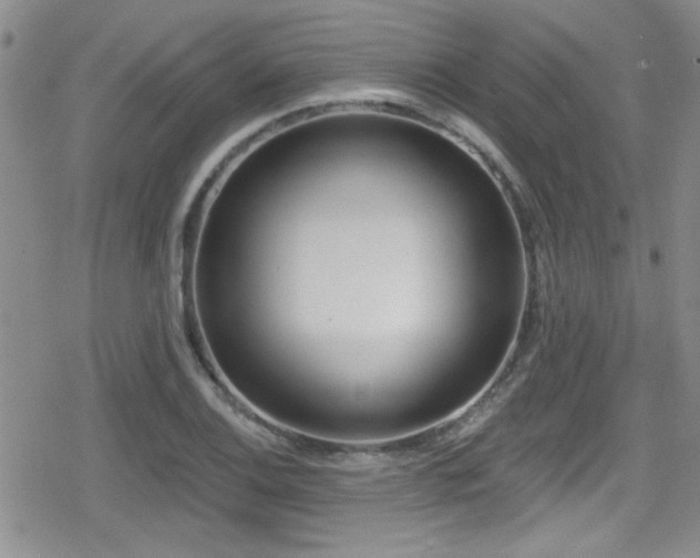 X0000079311124200611171049
