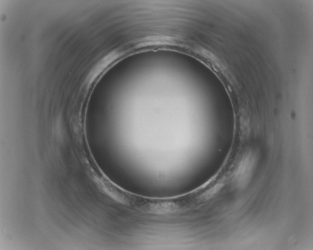 X0000079311129200611171049