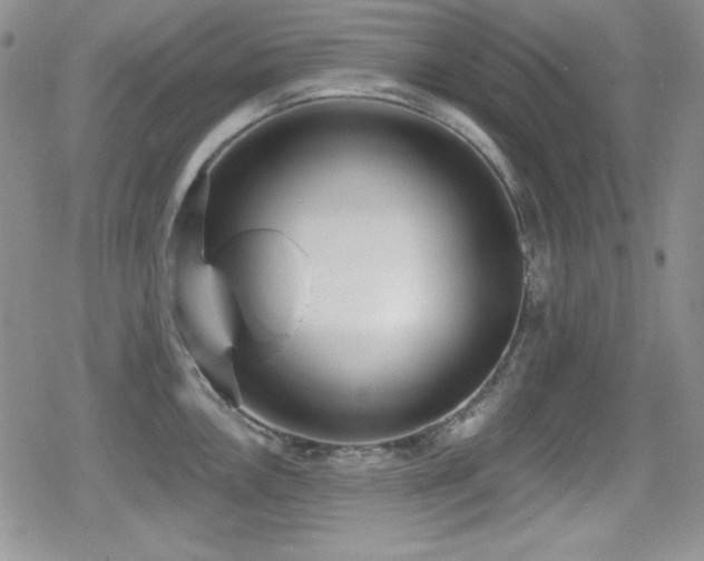 X0000079311146200611171049