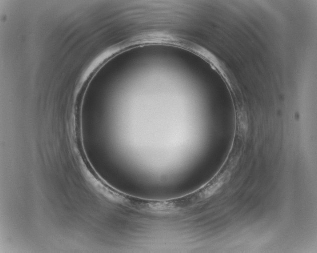 X0000079311147200611171049