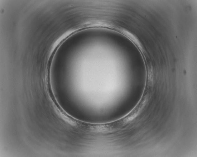 X0000079311149200611171049