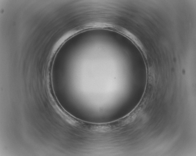 X0000079311187200611171048