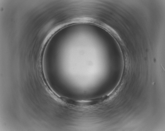 X0000079311192200611171048