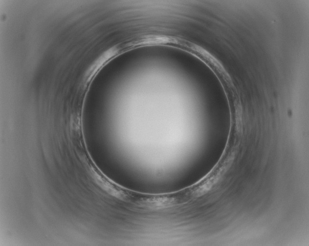 X0000079311193200611171048