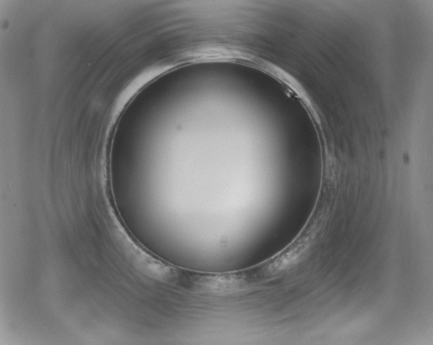 X0000079311195200611171048