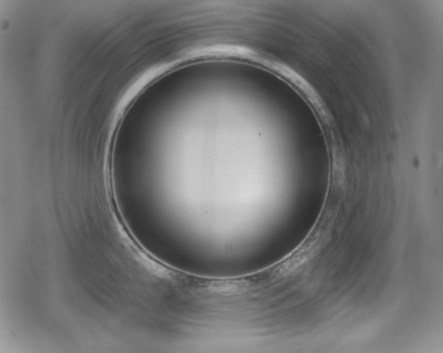 X0000079311199200611171048