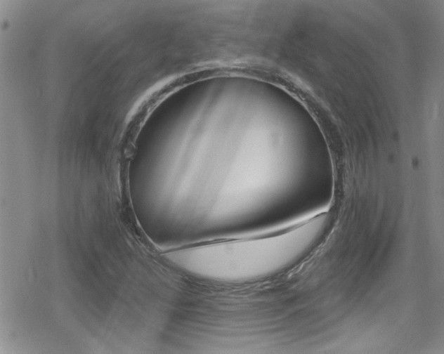 X0000079311214200611171047