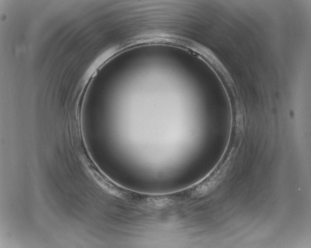 X0000079311242200611171048