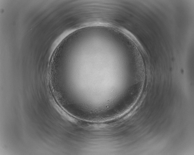 X0000079311244200611171048