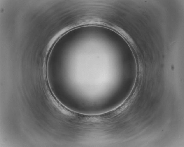 X0000079311246200611171048