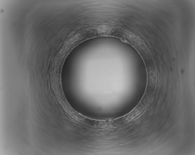 X0000079311249200611171047