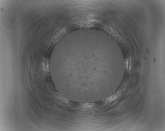 X0000079311251200611171047