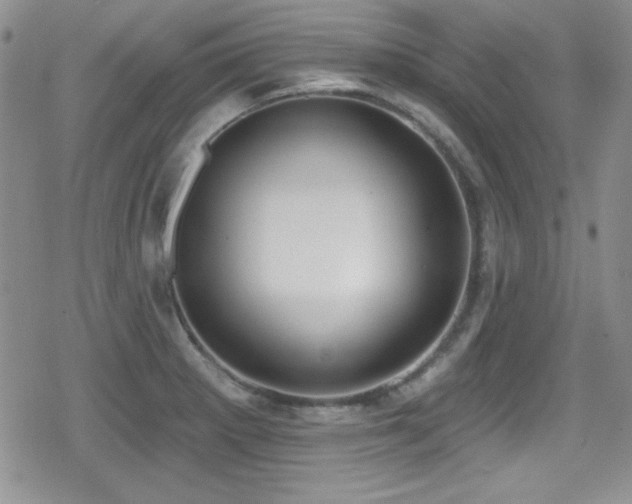 X0000079311281200611171046