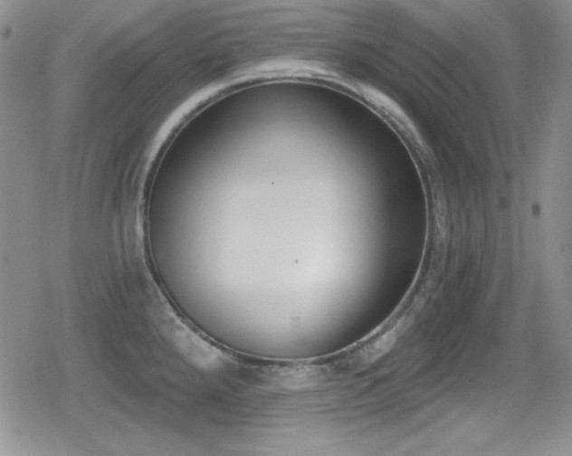 X0000079311288200611171046