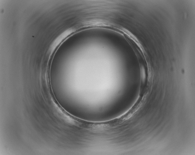 X0000079311293200611171046