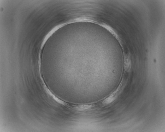 X0000079311294200611171046