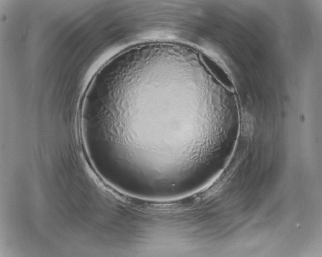 X0000079311295200611171046